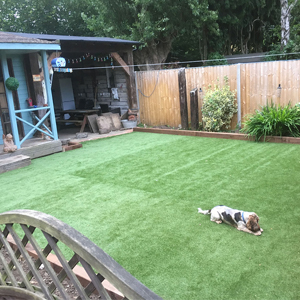 A picture of artificial grass - 3