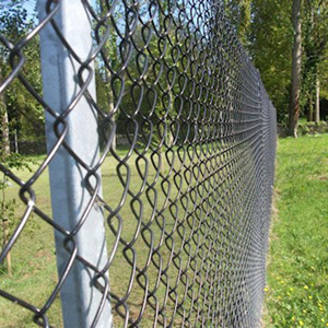A picture of fencing - 5