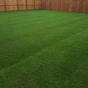 A picture of turfing - 4